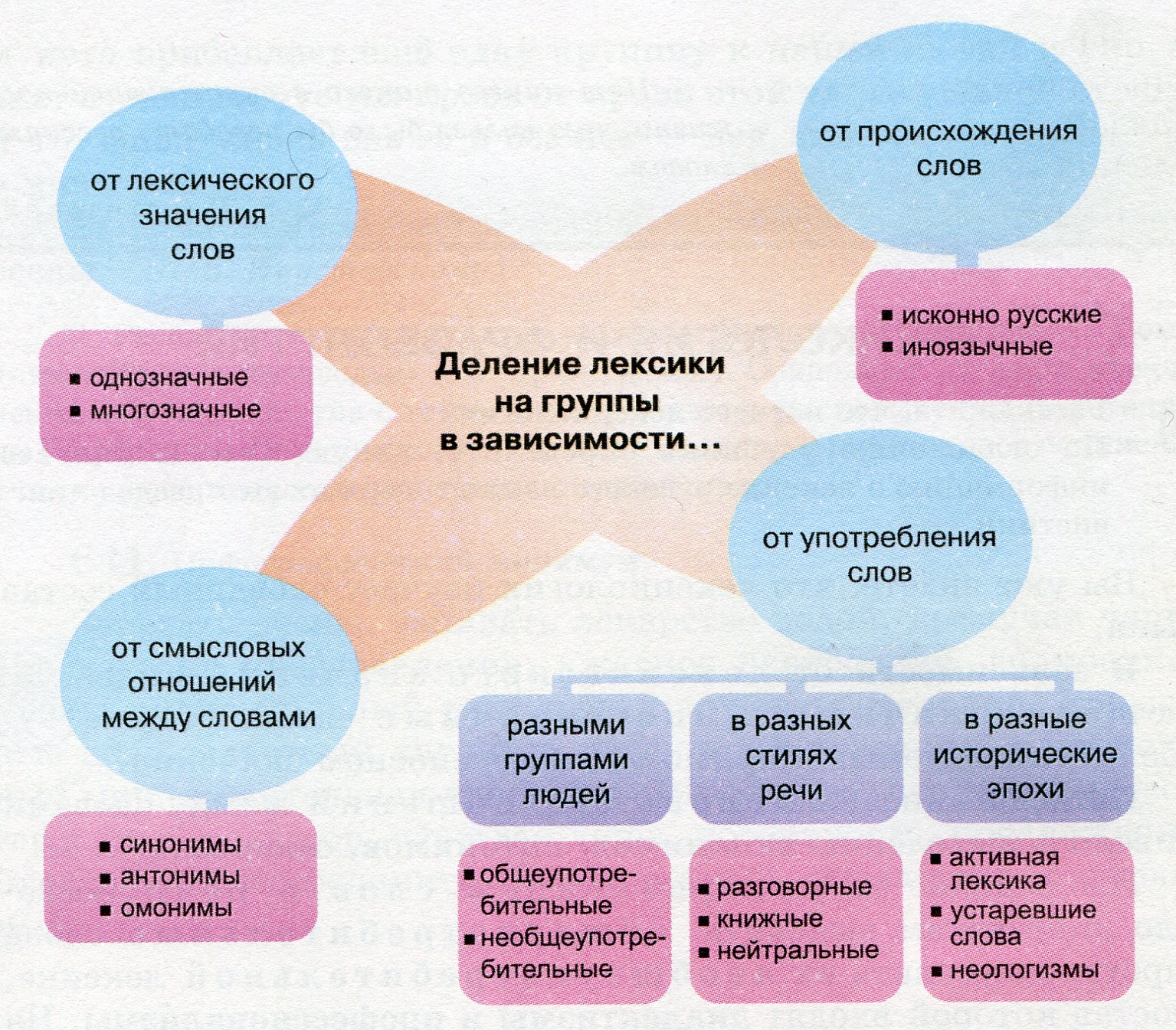 Русский язык делится на группы. Деление лексики на группы. Термины раздела лексика. Выучить лексические группы слов. Лексические группы русского языка.