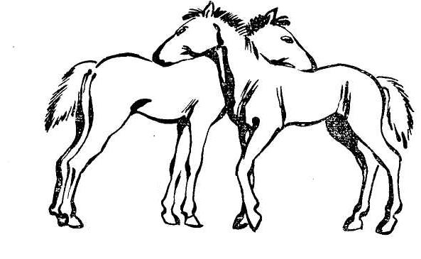 Хорошее отношение к лошадям ответы. Хорошее отношение к лошадям иллюстрации. Хорошее отношение к лошадям рисунок. Иллюстрация к стихотворению хорошее отношение к лошадям. Иллюстрация к стихотворению Маяковского хорошее отношение к лошадям.